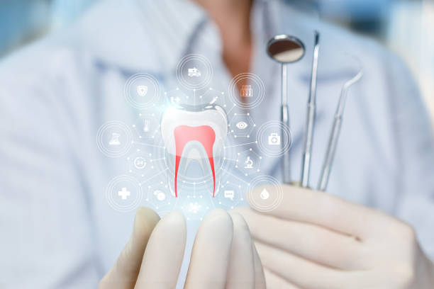Best Dental Fillings (Composite and Amalgam)  in Elkhorn, CA